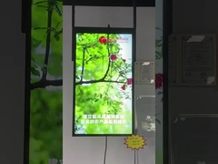 pencere ekranı
